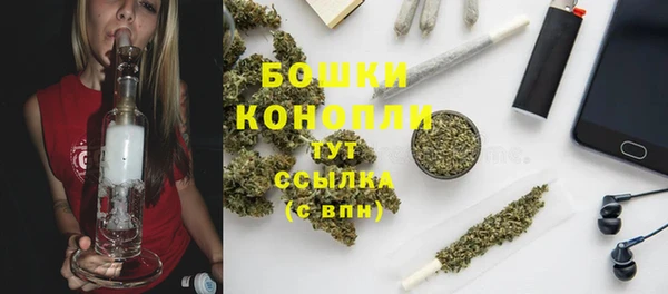 таблы Гусев