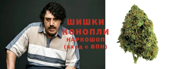 крисы Горнозаводск