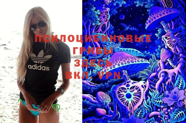 таблы Гусев