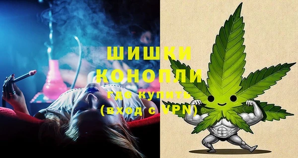 гашик Гусь-Хрустальный