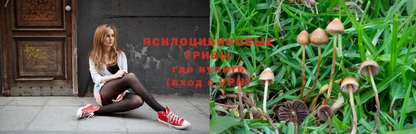 крисы Горнозаводск