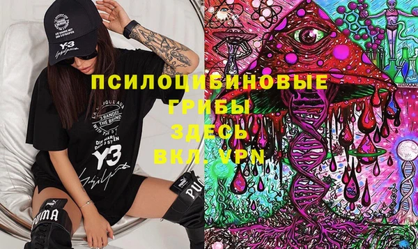 гашик Гусь-Хрустальный