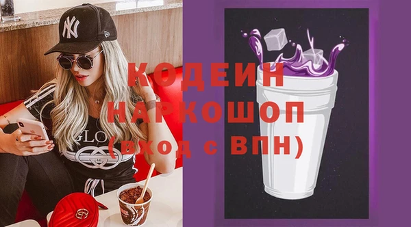 гашик Гусь-Хрустальный